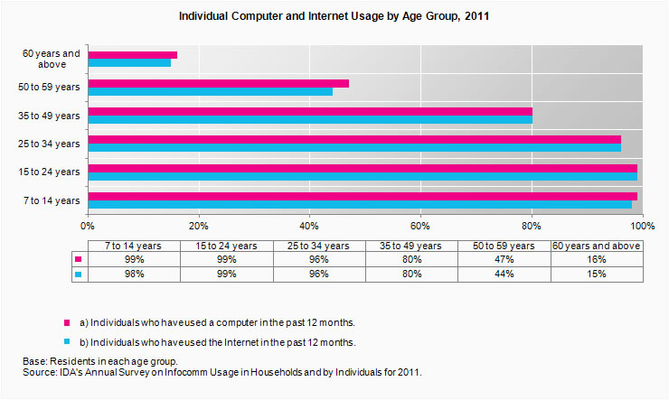 Individual Computer and Internet Access in the past 12 months, by age groups (2010)